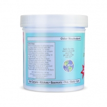 美国bad air sponge空气净化剂清除甲醛新房车内异味400g