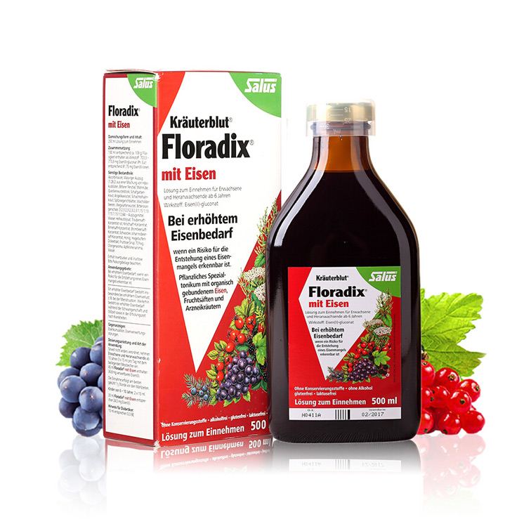 新版 Floradix德国铁元 气血滋养补血 补铁润肤抗疲劳 孕妇儿童可用 500ml
