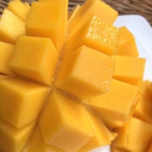 澳洲R2E2超级大彩芒 芒果礼盒装澳洲鲜果果园直发顺丰冷链包邮  