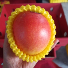 澳洲R2E2超级大彩芒 芒果礼盒装澳洲鲜果果园直发顺丰冷链包邮  