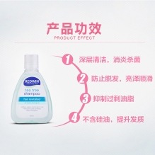 Redwin茶树油洗发水无硅油清爽控油长久去屑止痒250ml