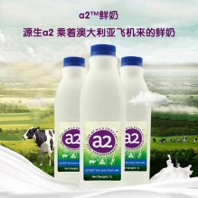 澳洲a2鲜奶 原装进口巴氏杀菌全脂鲜牛奶顺丰冷链空运配送 鲜奶1L*2瓶