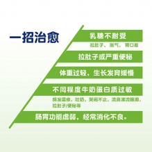 澳洲拜耳Novalac宝怡乐熊猫大米蛋白水解奶粉防过敏腹泻800g