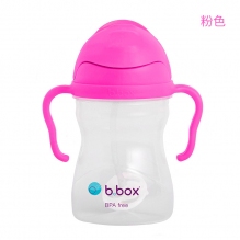 Bbox儿童水杯宝宝学饮杯第三代重力吸管杯新版240ml荧光粉