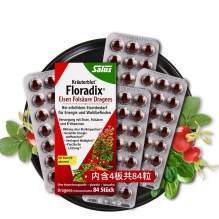 德国Salus红铁片铁元叶酸片女性孕妇补铁维生素随行装84粒/盒