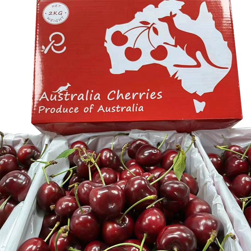 上新价！澳洲红袋鼠新南威尔士车厘子2kg礼盒装 澳洲水果樱桃  精美礼盒送礼