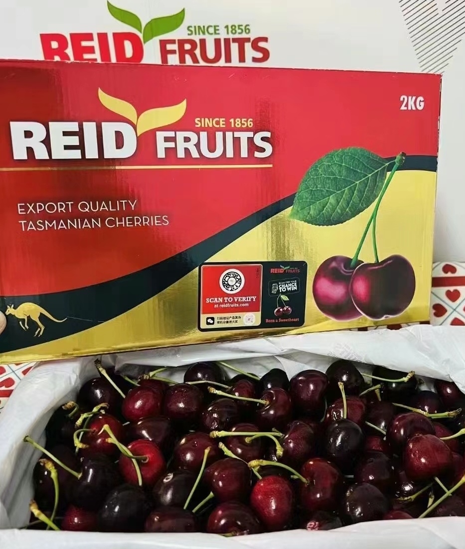  预售 澳洲顶级Reid FRUITS(塔斯马尼亚州）金袋鼠水果车厘子大樱桃2KG（4斤） 果园直发 澳洲进口 顺丰冷链直邮包邮  