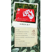 上新价！澳洲红袋鼠新南威尔士车厘子2kg礼盒装 澳洲水果樱桃  精美礼盒送礼