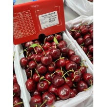 上新价！澳洲红袋鼠新南威尔士车厘子2kg礼盒装 澳洲水果樱桃  精美礼盒送礼