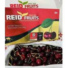  预售 澳洲顶级Reid FRUITS(塔斯马尼亚州）金袋鼠水果车厘子大樱桃2KG（4斤） 果园直发 澳洲进口 顺丰冷链直邮包邮  