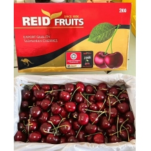  预售 澳洲顶级Reid FRUITS(塔斯马尼亚州）金袋鼠水果车厘子大樱桃2KG（4斤） 果园直发 澳洲进口 顺丰冷链直邮包邮  