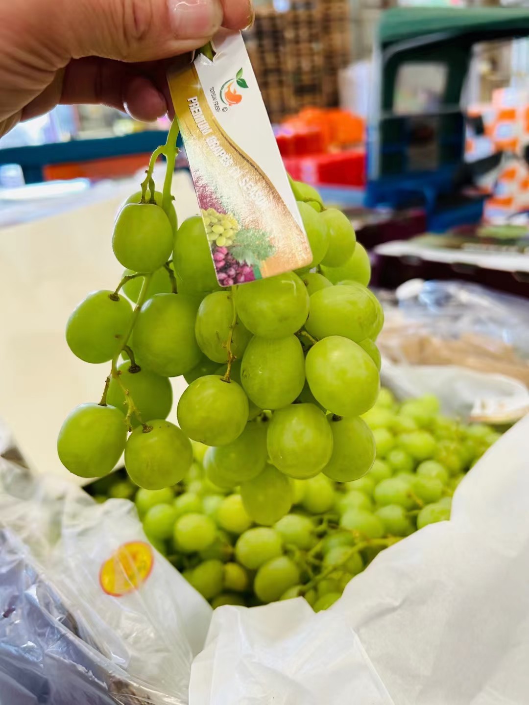 澳洲青提 甜地球 4斤装