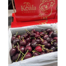 【双旦特批价】新包装澳洲koala考拉车厘子 樱桃2kg礼盒装  金色红色包se装随机