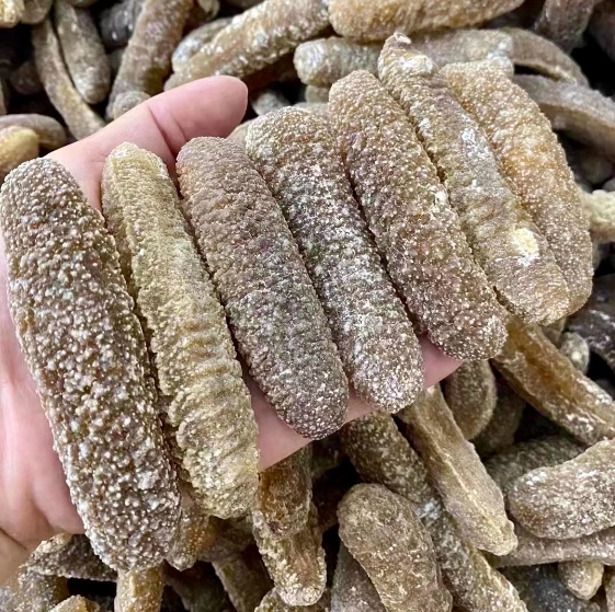 澳洲海参 野生金沙参500g 