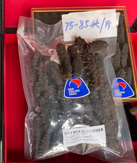 新西兰小黑金刺参500g 澳洲野生海参干货