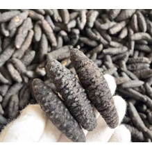 澳洲短刺黑刺参500g 澳洲野生海参