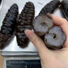 澳洲短刺黑刺参500g 澳洲野生海参