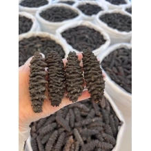 澳洲桂花黑刺参500g  澳洲野生海参 滋补营养品 美容养颜 预防三高