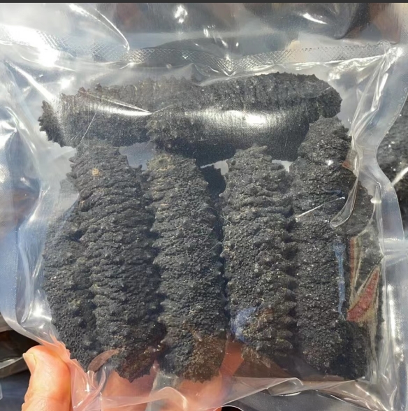 澳洲极品黑刺参（泡发率最高）500g