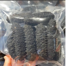 澳洲极品黑刺参（泡发率最高）500g