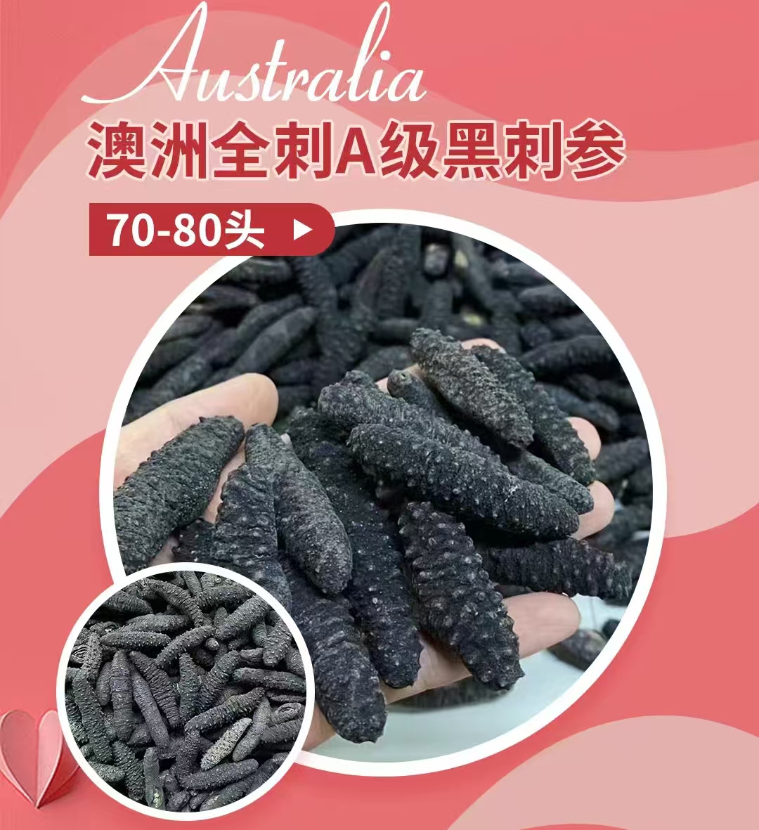 澳洲野生海参全刺黑刺参A级500g 