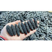 澳洲野生海参全刺黑刺参A级500g 