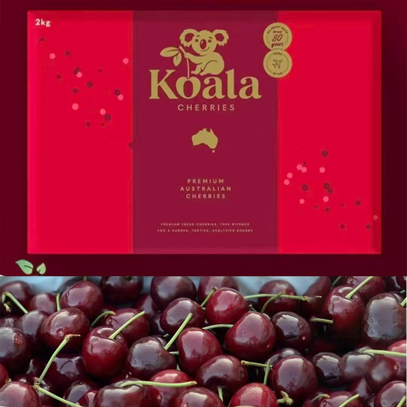 【双旦特批价】新包装澳洲koala考拉车厘子 樱桃2kg礼盒装  金色红色包se装随机